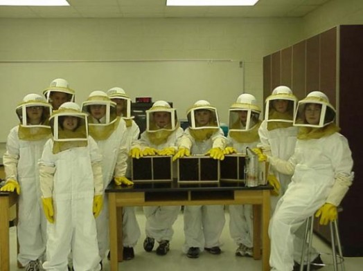 Beekeeper honey - keeping bee hives (4)