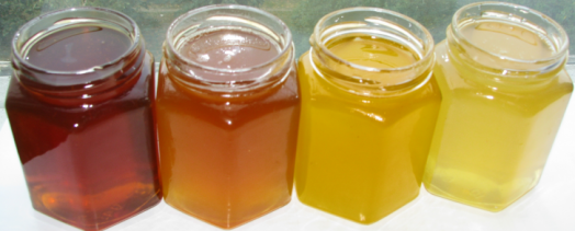 Different types of honey - honey variety (1)