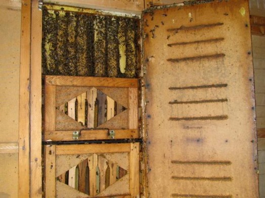 Bee hives pictures - bee skeps (4)