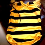 DIY bee costume