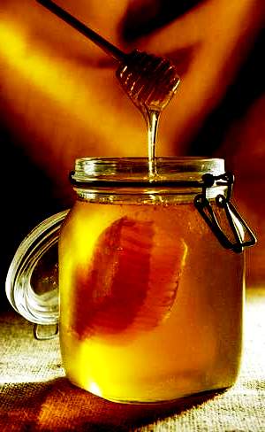 Sourwood honey - organic honey (2)
