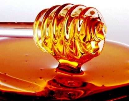 Bee makes honey (4)