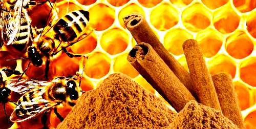 Honing met kaneel echte imker rauwe honing koud geslingerd heilzaam
