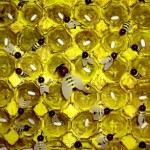 Bee decor