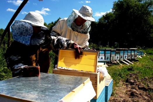 Honey extracting equipment (10)