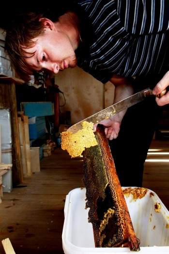 Honey extracting equipment (14)