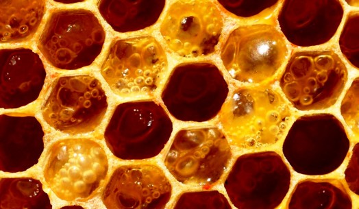 Medical use of honey - honey wound dressing - honey skin treatment (1)