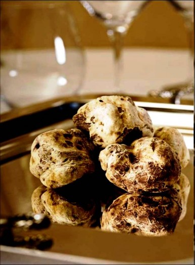 White truffle honey (5)