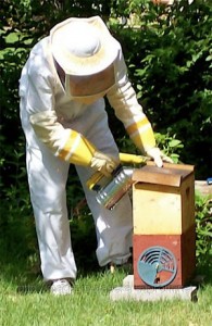 Bee keeping equipment - beekeeper costumes (4)