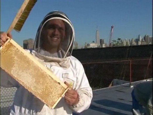Urban beekeeping - modern beekeeping (2)