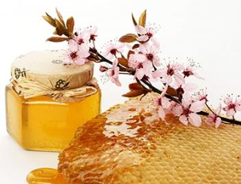 Antibacterial honey - honey antibiotic (2)