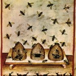 Bee hives pictures - bee skeps