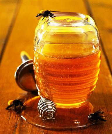 Unpasteurized honey - no flavoured honey (1)