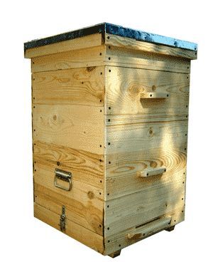 Buy beehive - best bee hives (1)