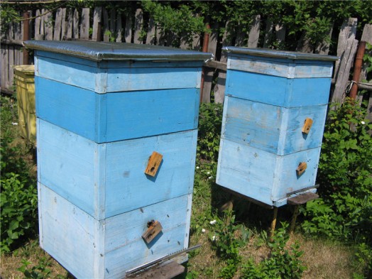 Beehive dimensions - making bee hives
