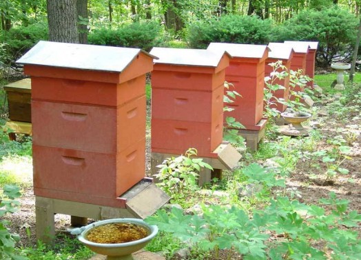 Beehive dimensions - making bee hives (1)