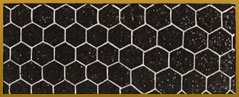 Bee honeycomb - information on honey bee (6)