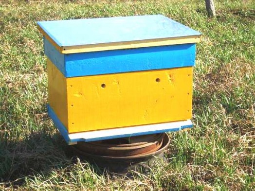 How to start a bee hive - starting bee hives (2)