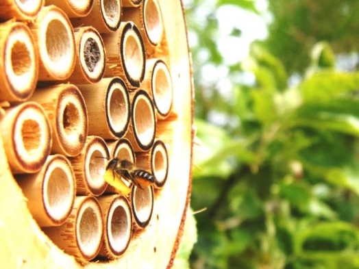 Bee house - bee hotels (12)
