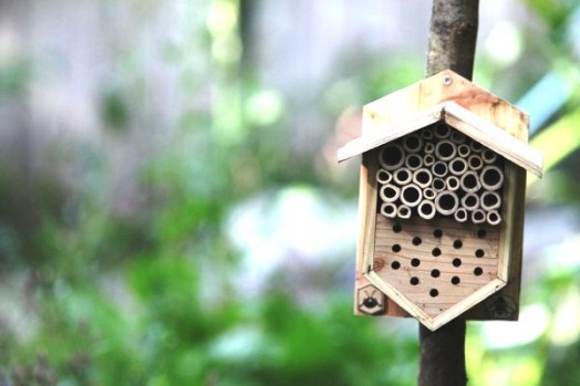 Bee house - bee hotels (10)