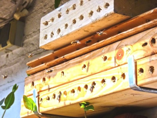 Bee house - bee hotels (22)