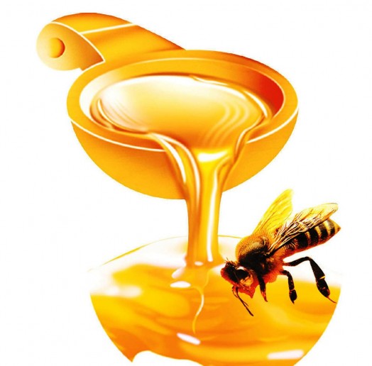 Honey as a sweetener - interesting facts about honey (2)