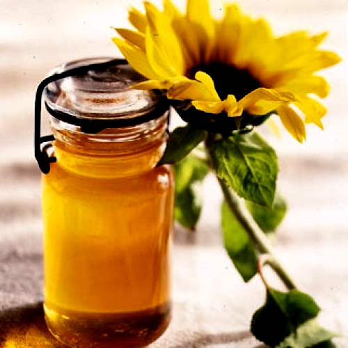 Sunflower honey (1)