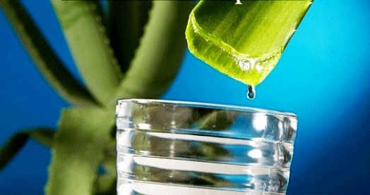 Aloe vera honey - aloe vera drink benefits (1)