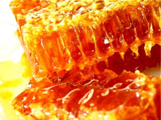 Honey health properties - honey and health effects (1)