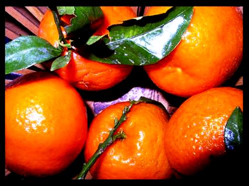 Honey tangerine (10)