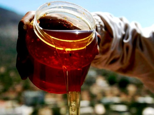 Israeli honey (1)