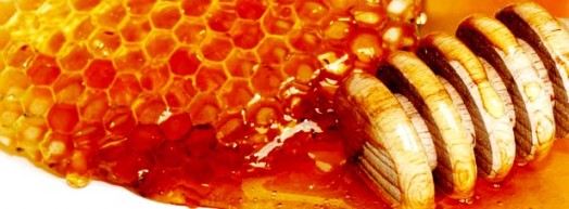 Leatherwood honey (1)