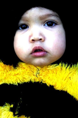 Queen bee costume - bee costume ideas (1)