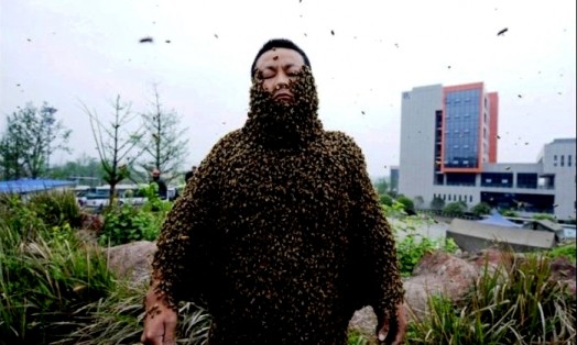 Queen bee costume - bee costume ideas (17)