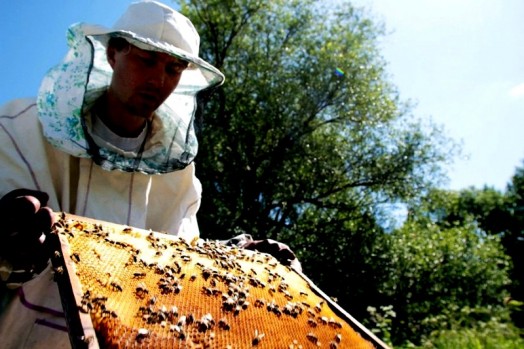 Honey extracting equipment (2)