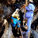 Honey extraction equipment - Himalaya mountain photos