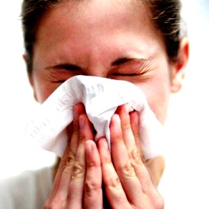 Local honey hayfever - natural remedies for hay fever (2)