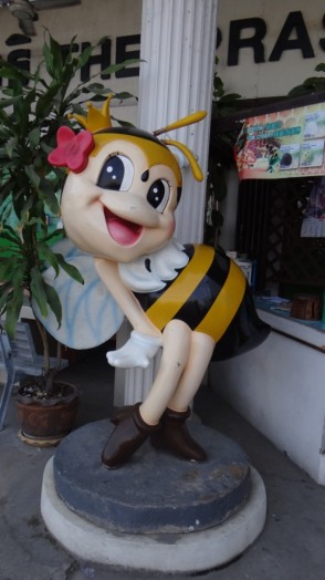 Bees in Thailand (12)